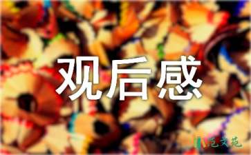 觀《百鳥(niǎo)朝鳳》有感心得