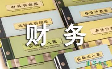 最新財務(wù)年終總結(jié)（通用6篇）