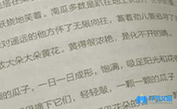 一年級語文教學(xué)學(xué)期工作總結(jié)
