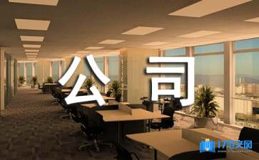 公司個(gè)人年終總結(jié)（精選10篇）