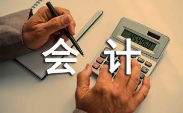 公司會計人員年終工作總結 